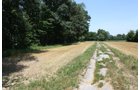 Property photo 13 - AUCTION POSTPONED